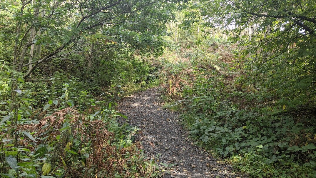 Clachan of Campsie-Campsie Glen必去景点
