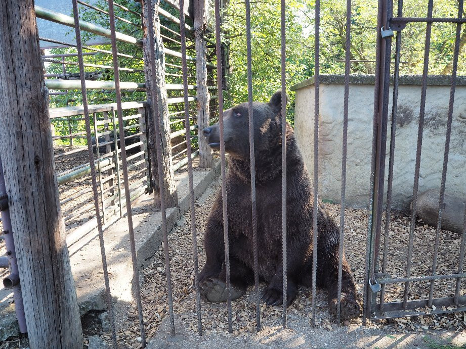 Bärenhof-Berghausen必去景点