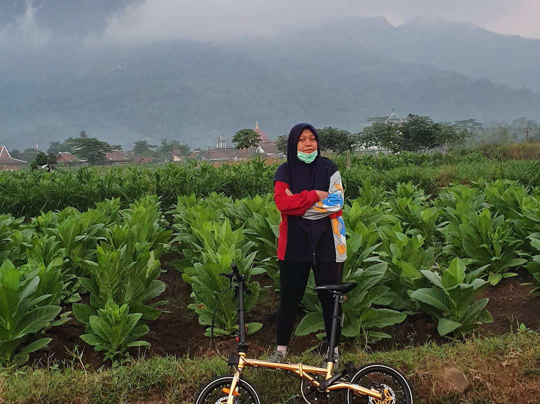 Borobudur Hills主图