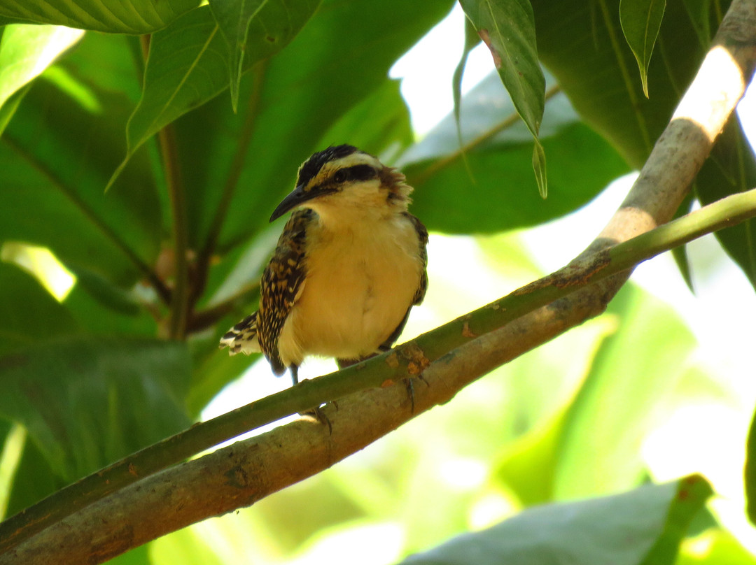 Hotel el Greco主图