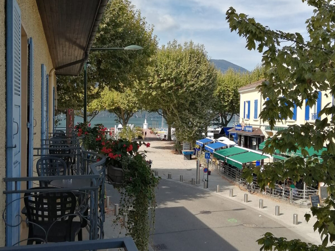 Hotel Aix Les Bains L'Iroko主图