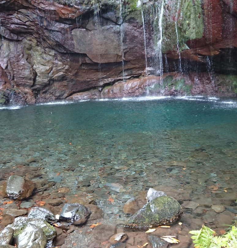 Lokoloko - Mountain Bike & Outdoor Tours-Canico必去景点