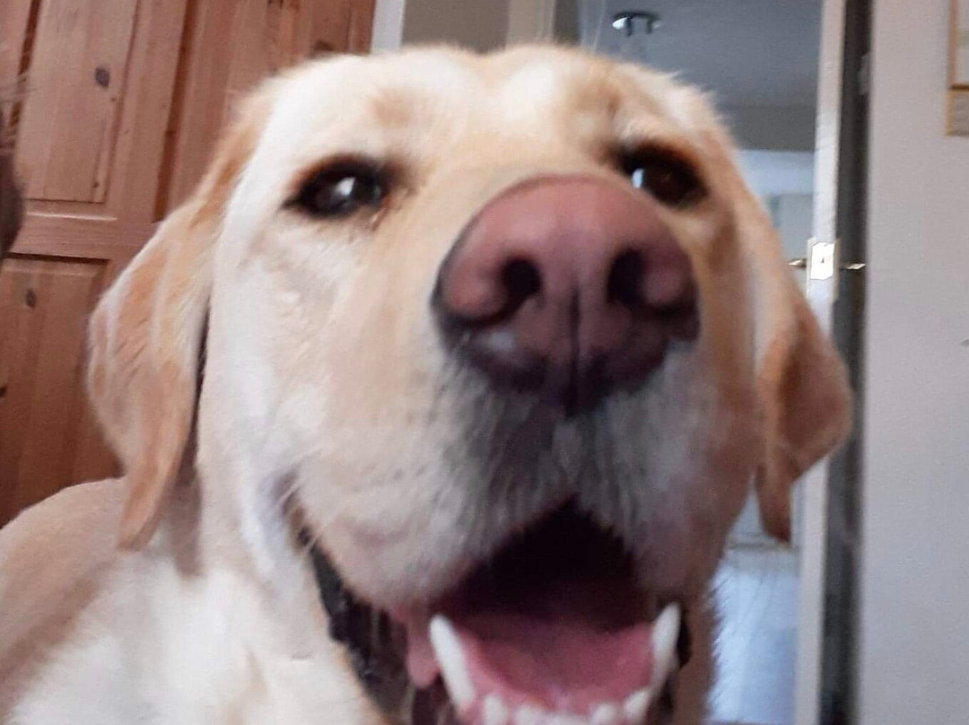 The Coach & Horses Inn主图