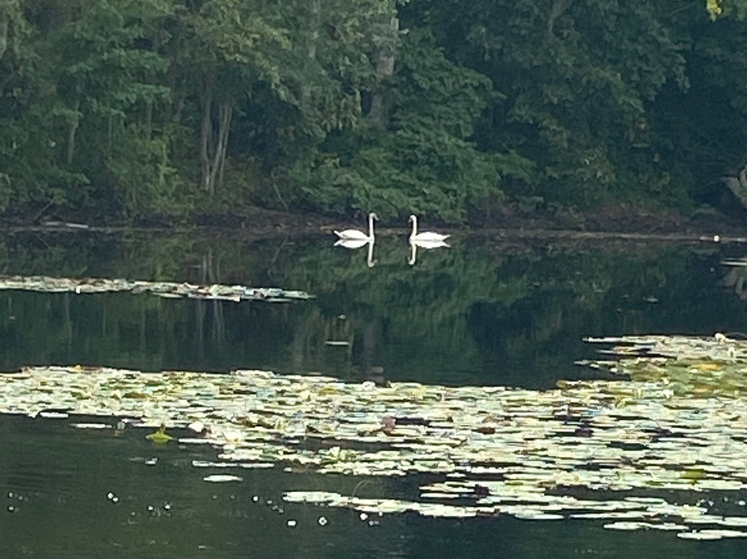 South Hampton旅游攻略图片