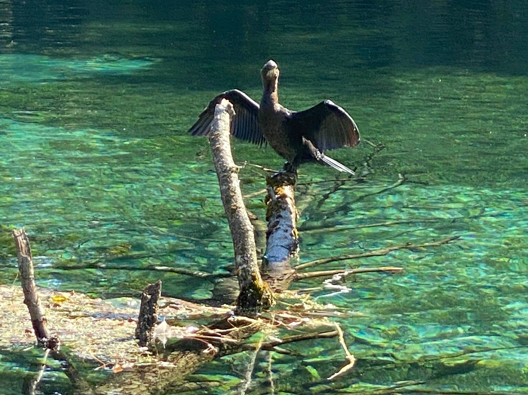 National Park Galicica景点图片