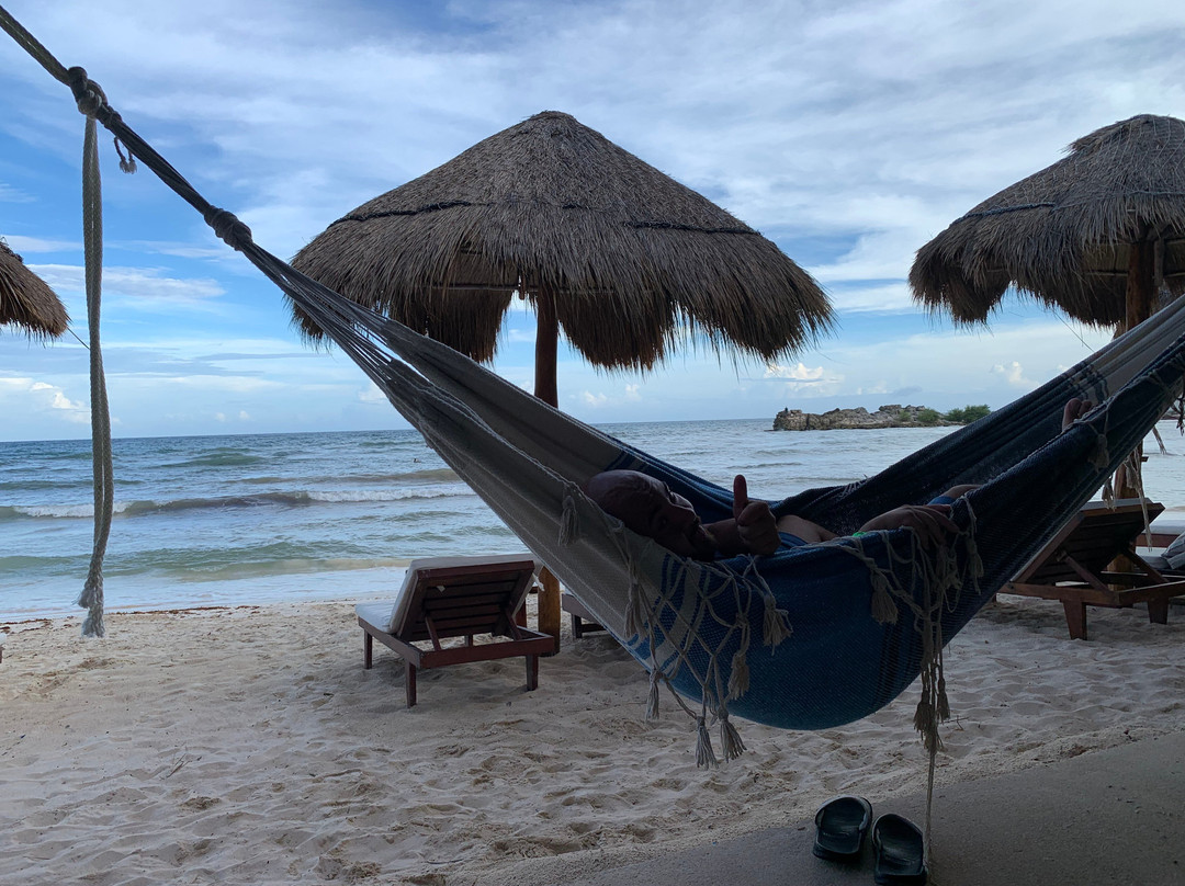 El Pez Boutique Hotel主图