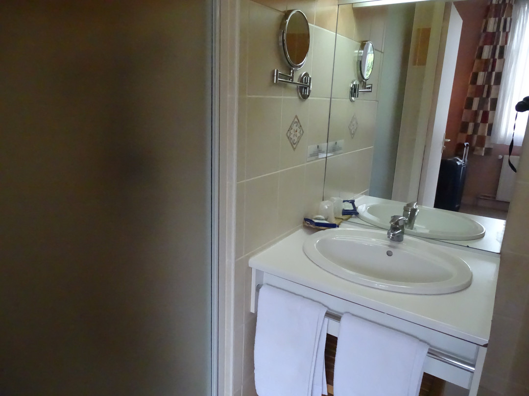 Logis Hôtel la Villa des Houx主图