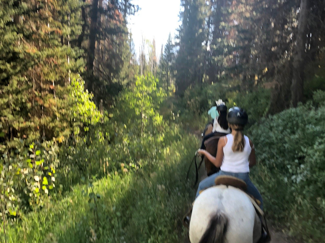 Boulder Mountain Ranch at Deer Valley-帕克城必去景点
