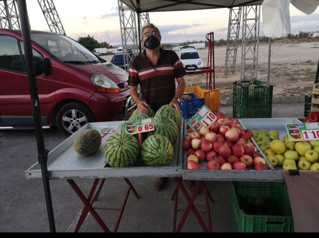 Mercadillo Campo de Guardamar del Segura景点图片