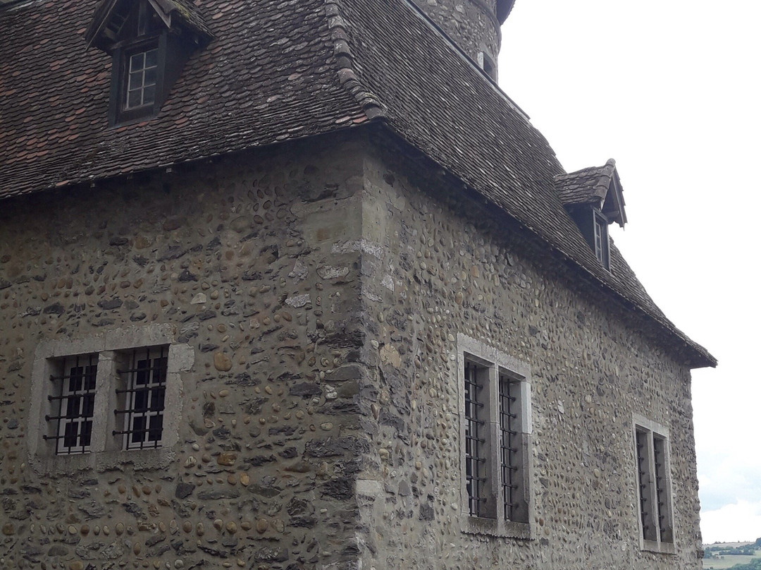 Virieu Castle景点图片