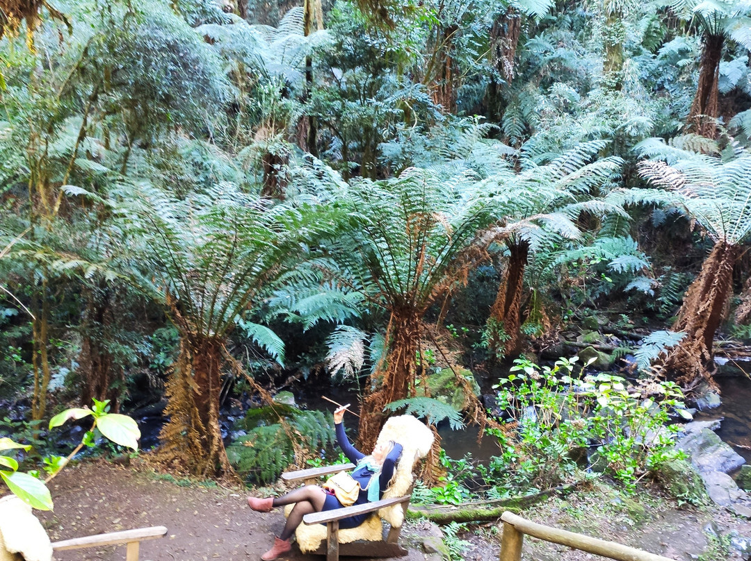 Hotel Parador Hampel主图