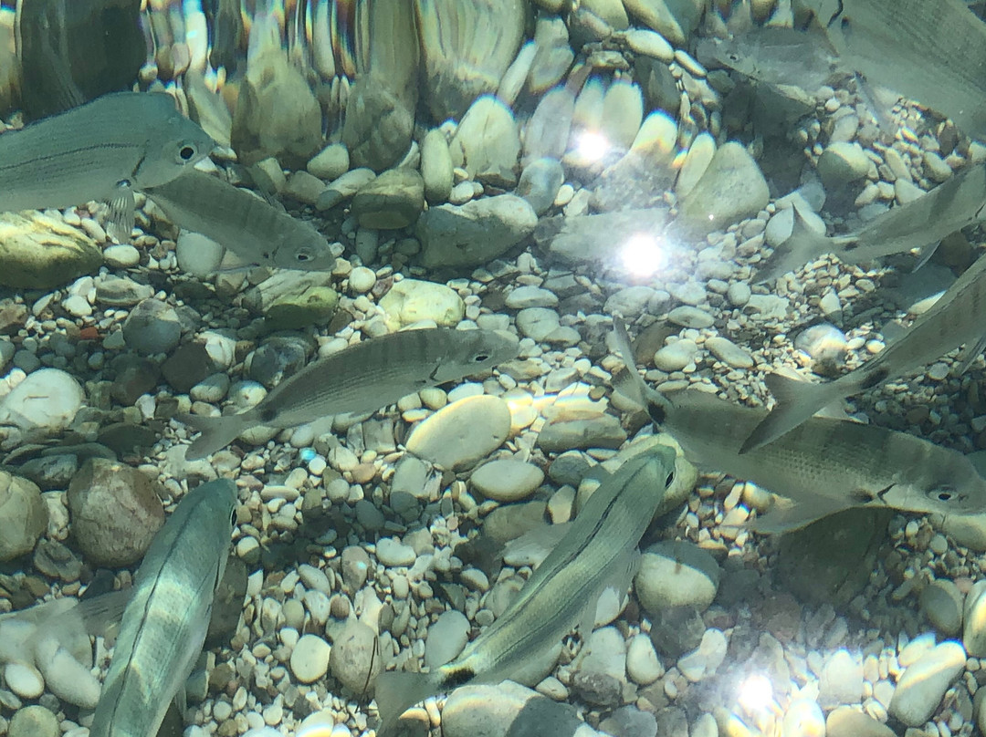 Krouzeri Beach Apartments主图