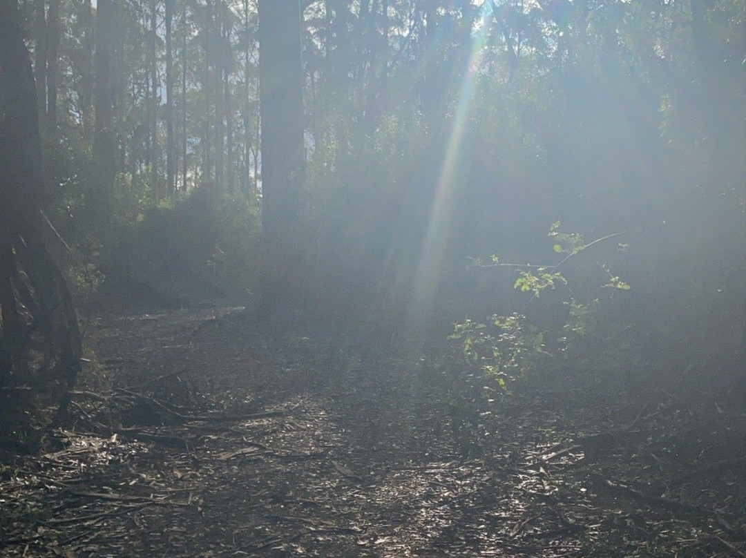 Lane-Poole Falls-Northcliffe必去景点