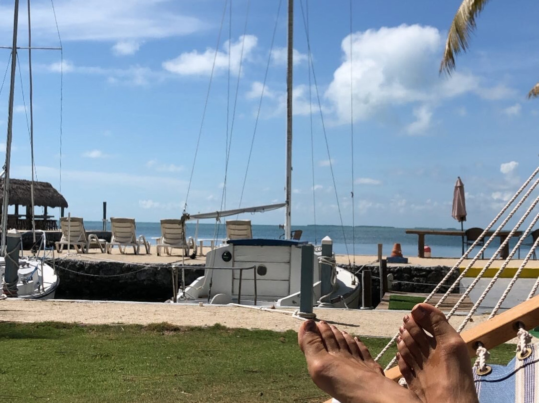 Best of Both Worlds主图