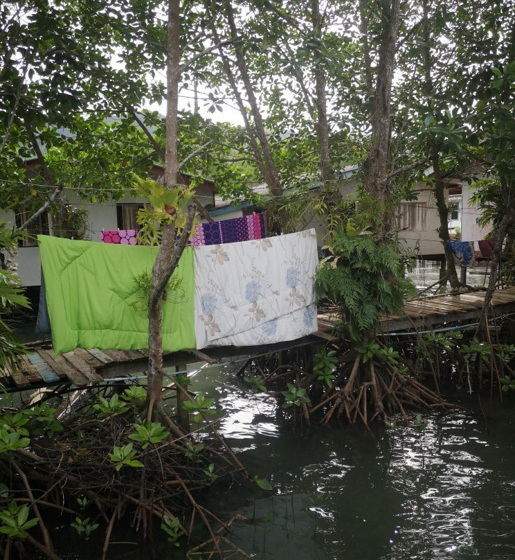 Salakphet Mangrove Walkway-桐艾必去景点