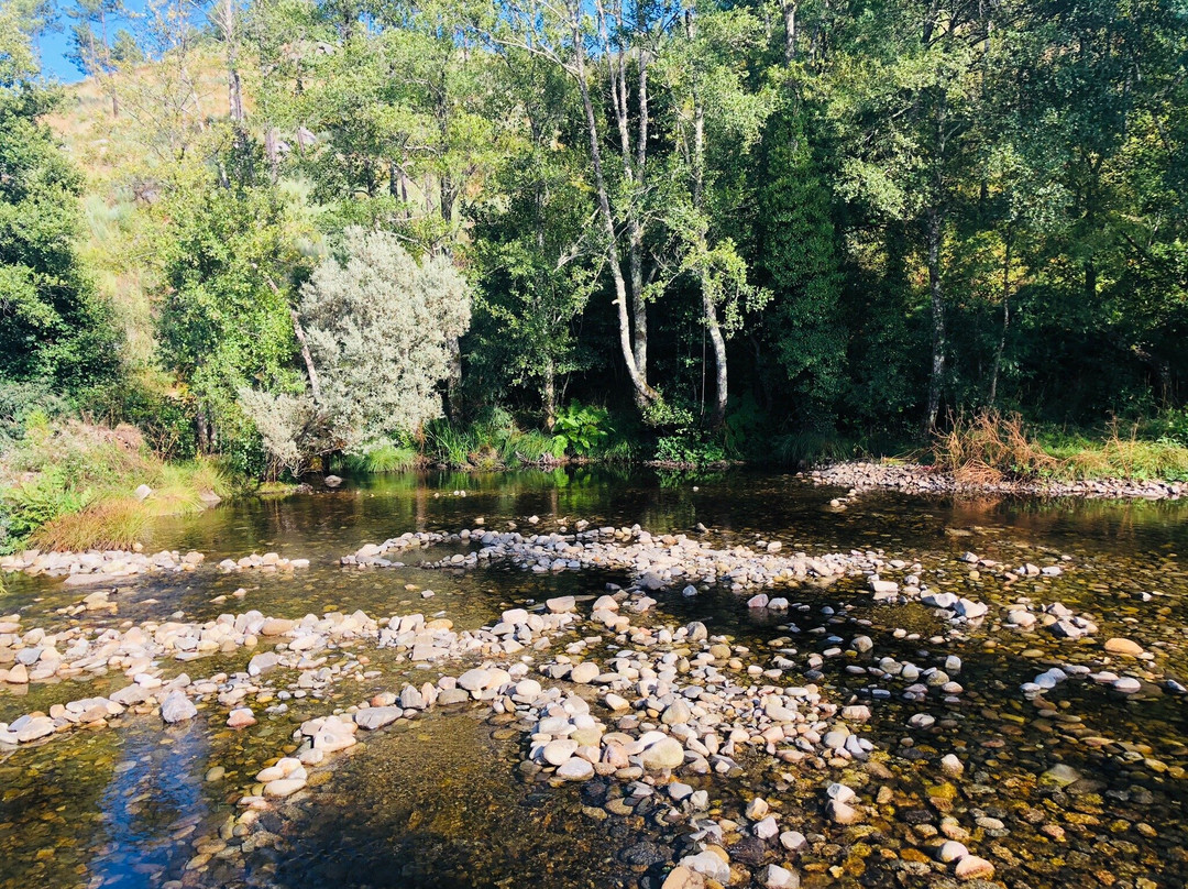 Praia Fluvial de Folgosa景点图片