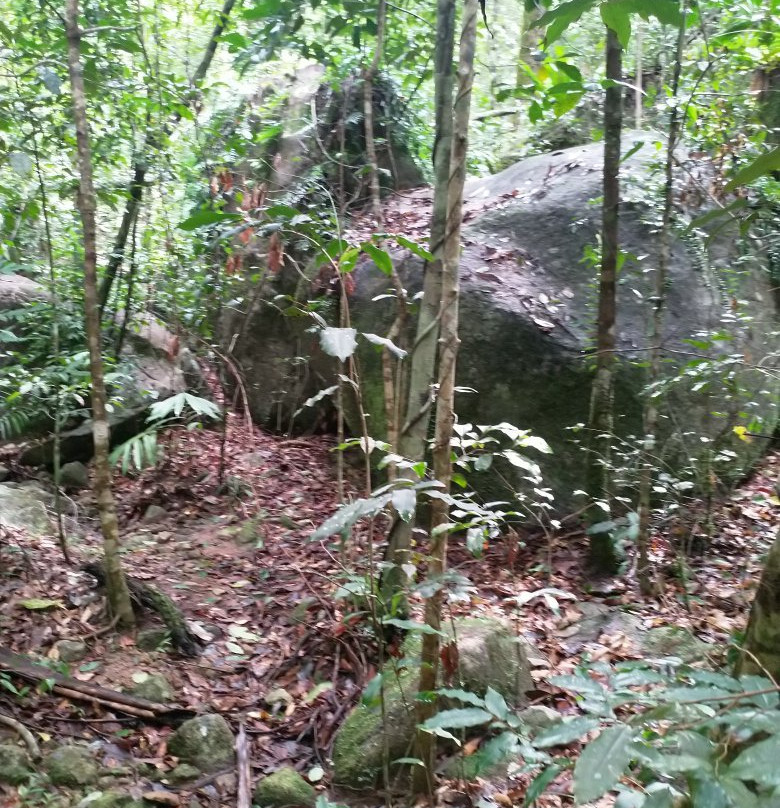 Finch Hatton Gorge-Finch Hatton必去景点