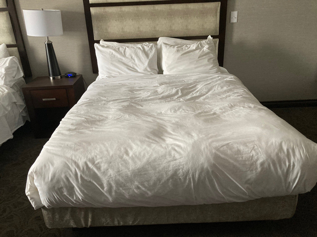 Prestige Hotel Vernon主图