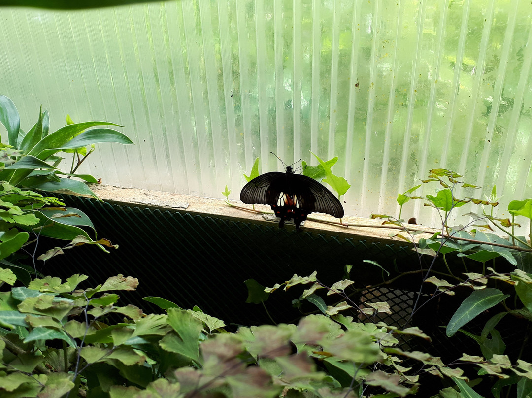 Botanisches Garten des Universitaets-里加必去景点