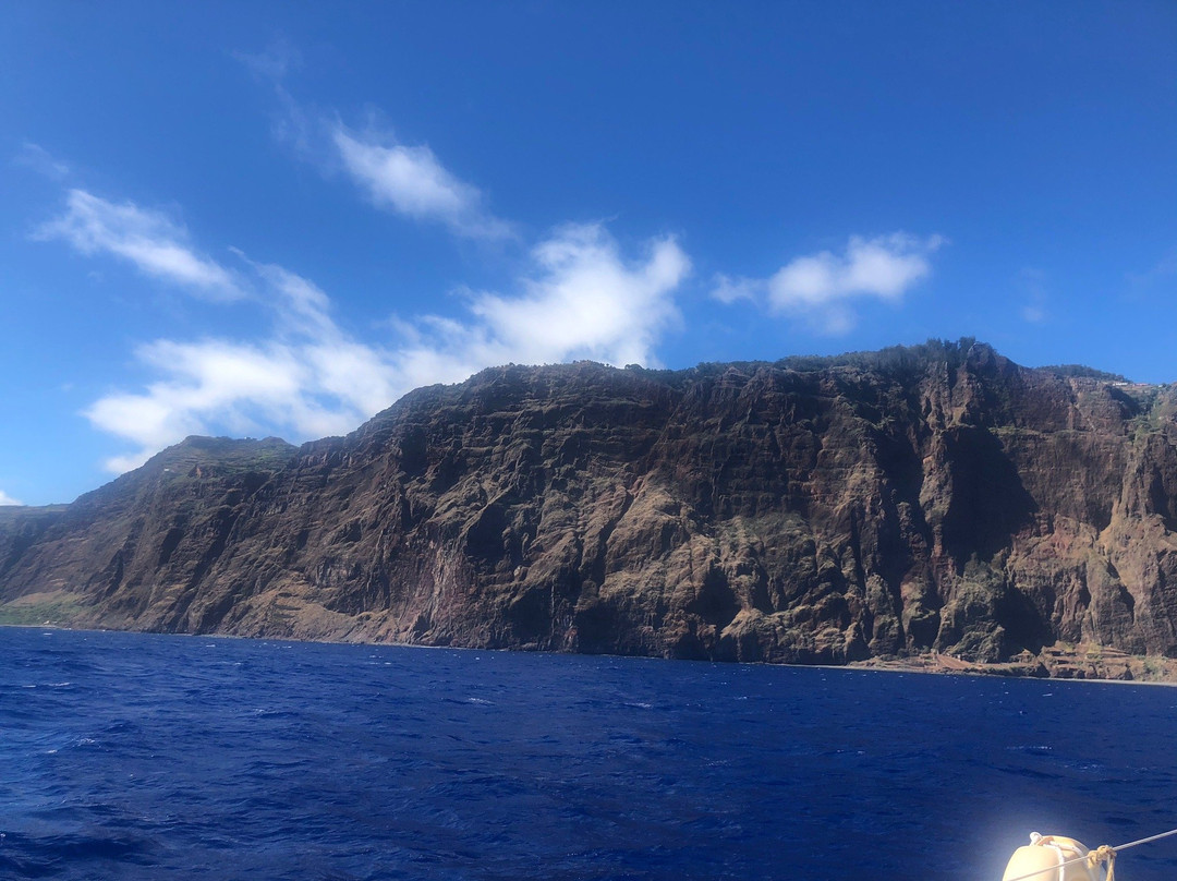 Seaborn Catamaran-沙尔必去景点