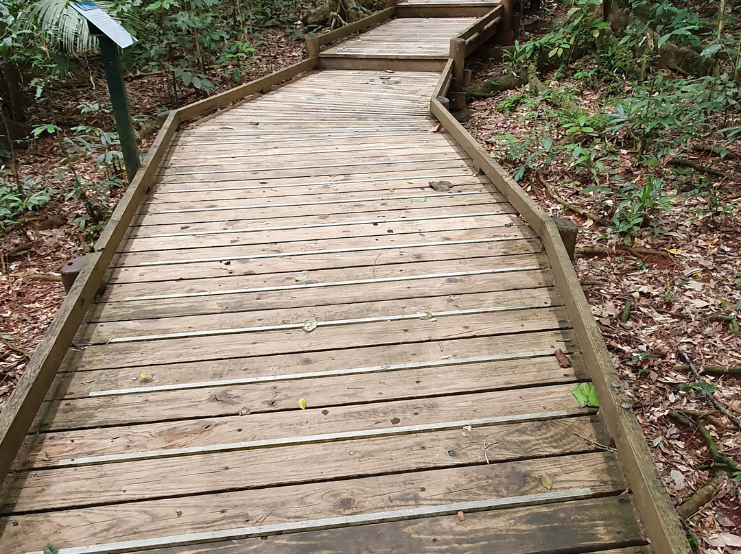 Jindalba Boardwalk-Cow Bay必去景点