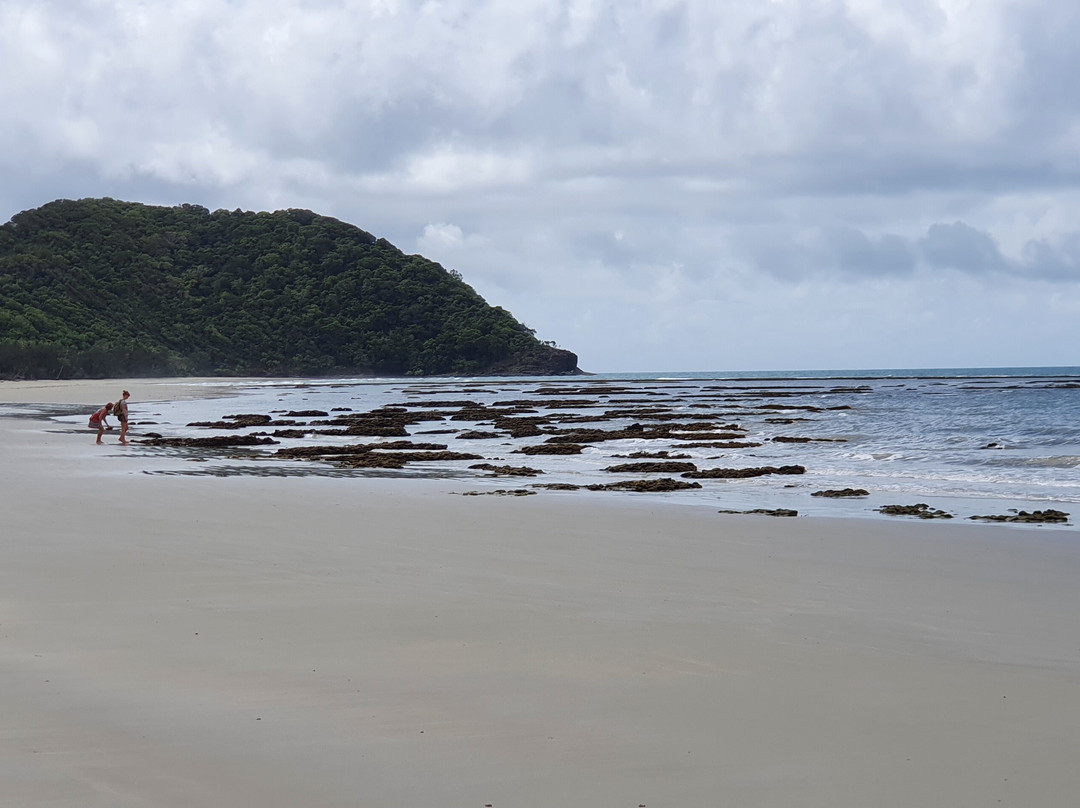 Myall Beach-Cape Tribulation必去景点
