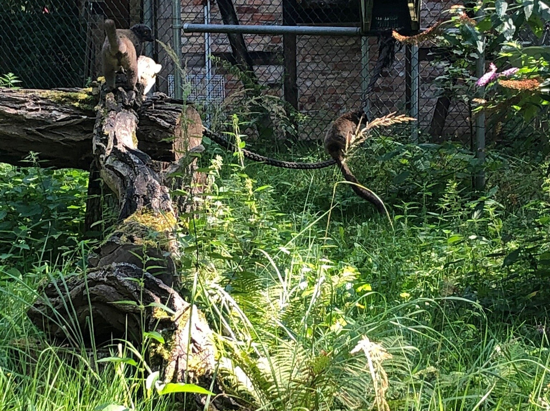 Tierpark Wolgast景点图片