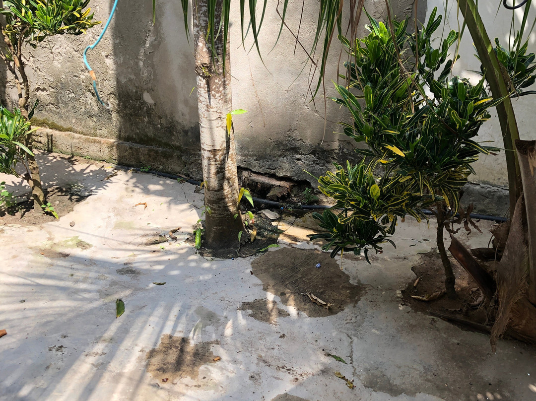 Marynice Place Lodge主图