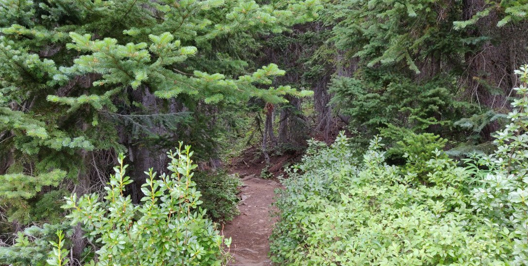 Blue Lake Trail景点图片