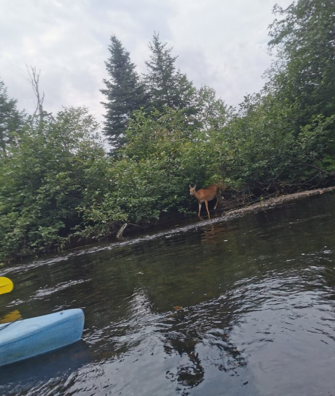 A l'Abordage-Val David必去景点