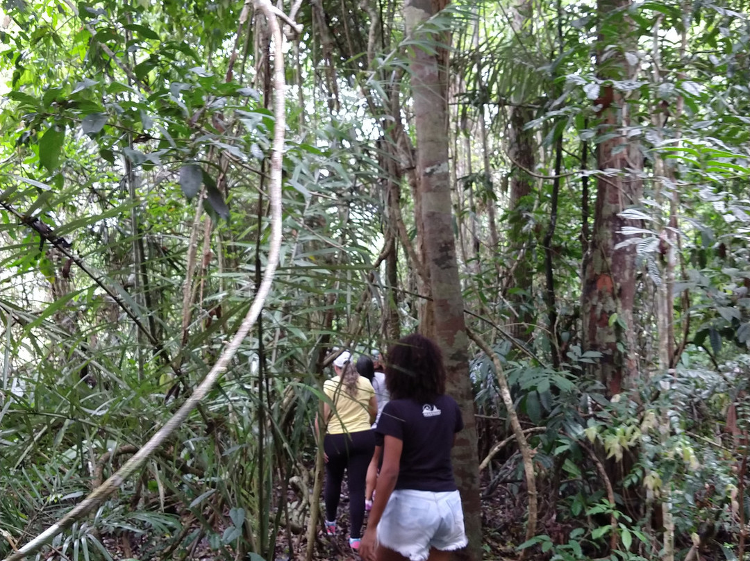 Parque Nacional do Descobrimento-Prado必去景点
