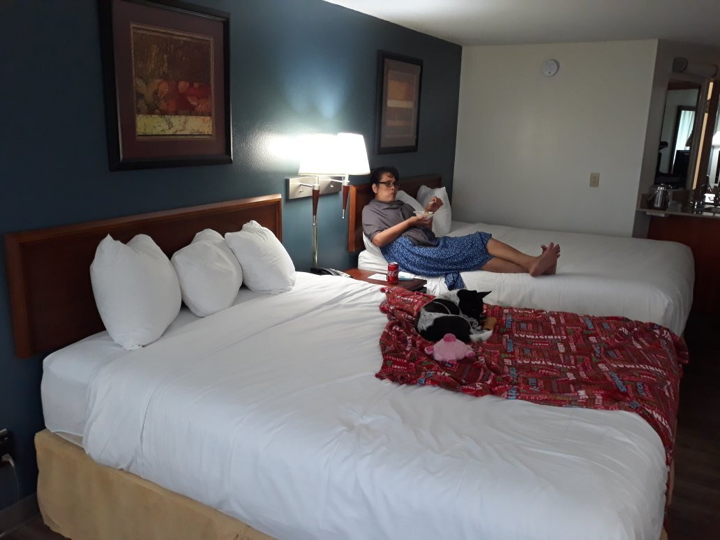 SureStay Plus By Best Western Black River Falls主图