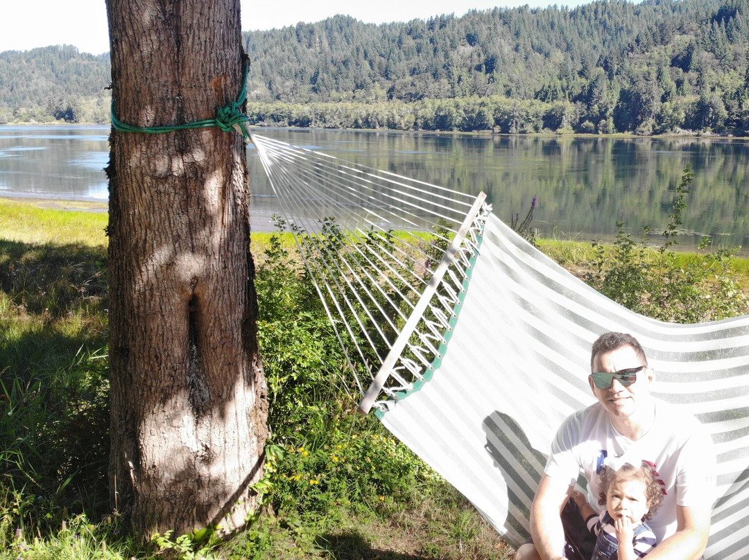 Umpqua River Inn & Suites主图