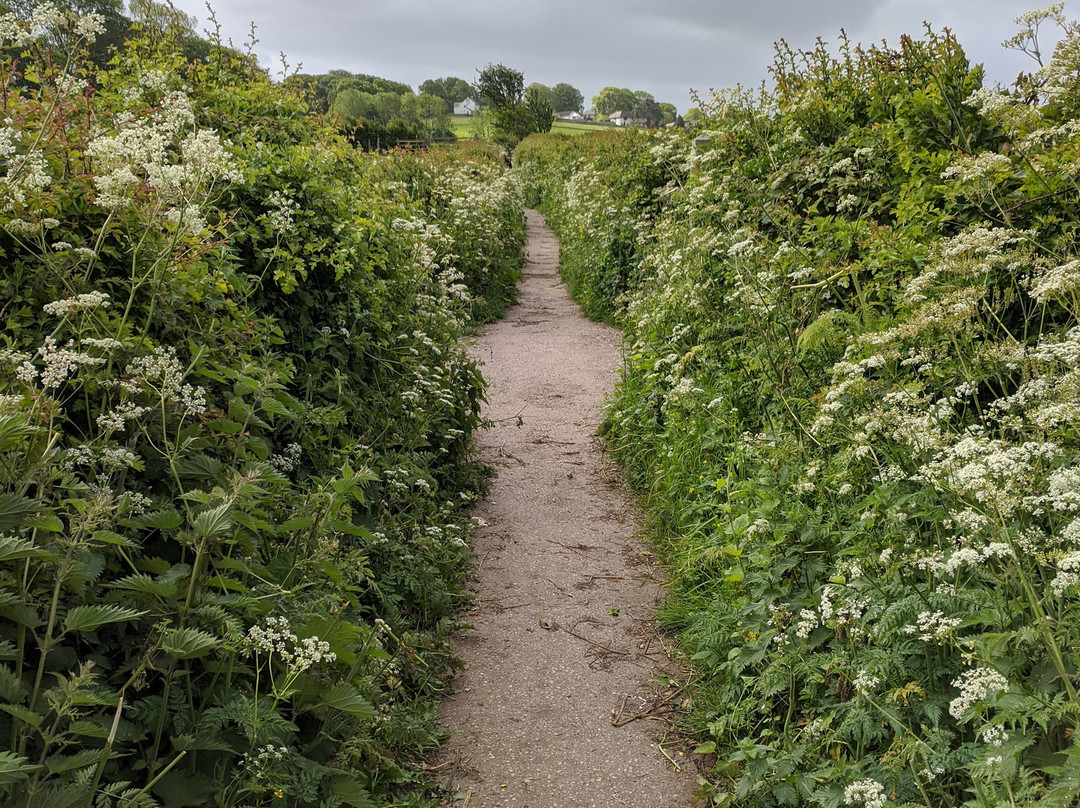Fairfield Nature Reserve-兰开斯特必去景点