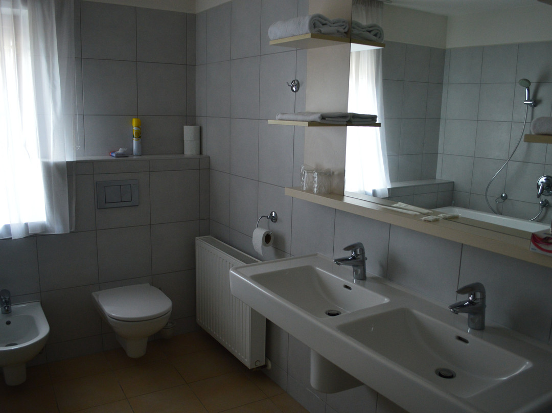 Cerny Orel Hotel & Penzion主图