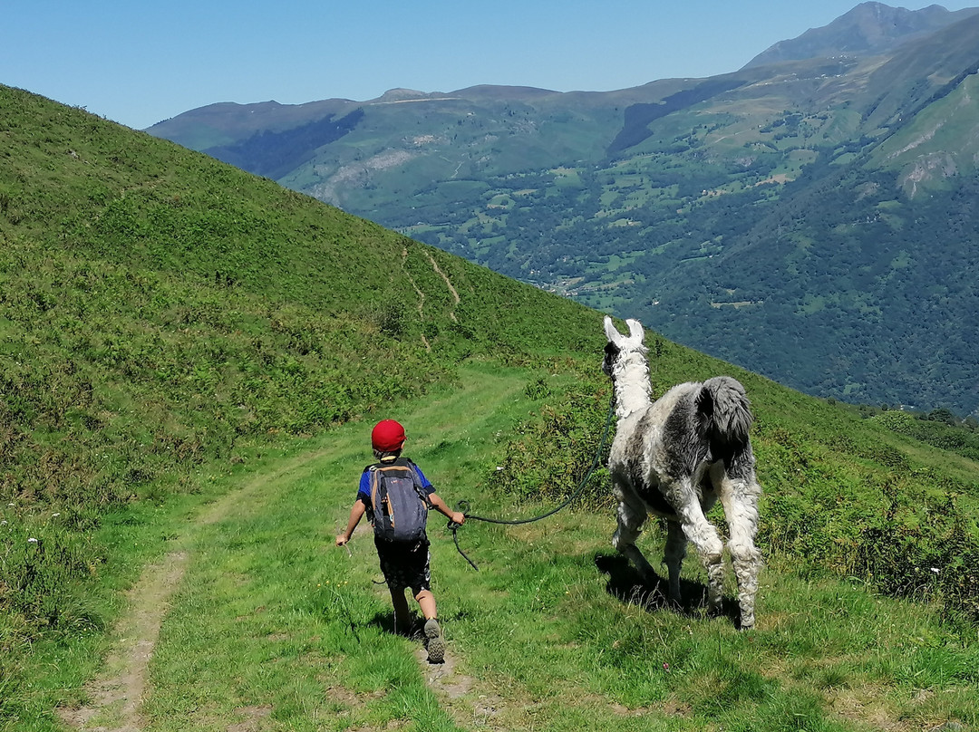 Les Lamas Des 7 Vallees景点图片