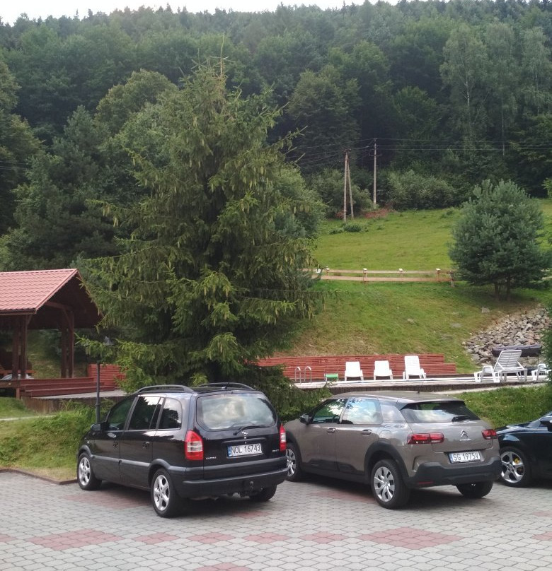 Lesny Dwor Rezydencja主图