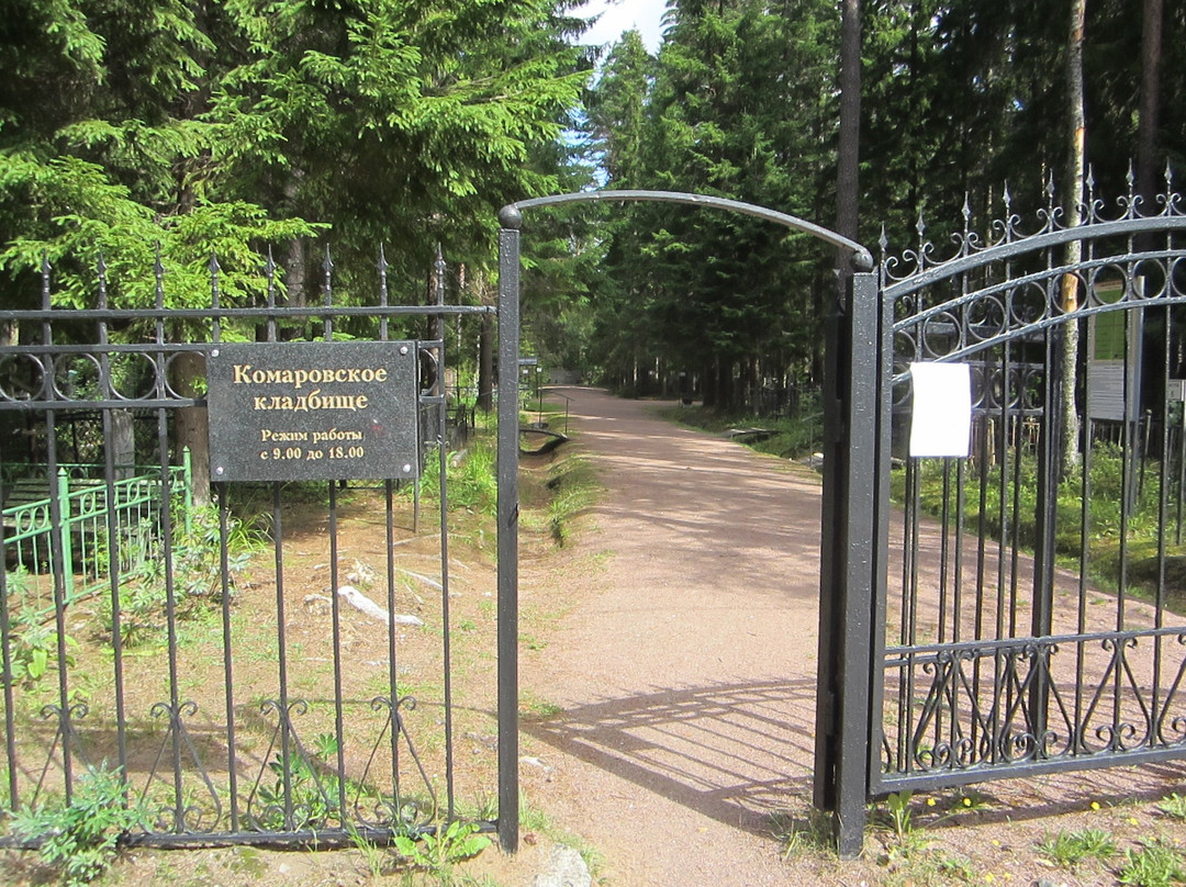 Komarovo Cemetery景点图片
