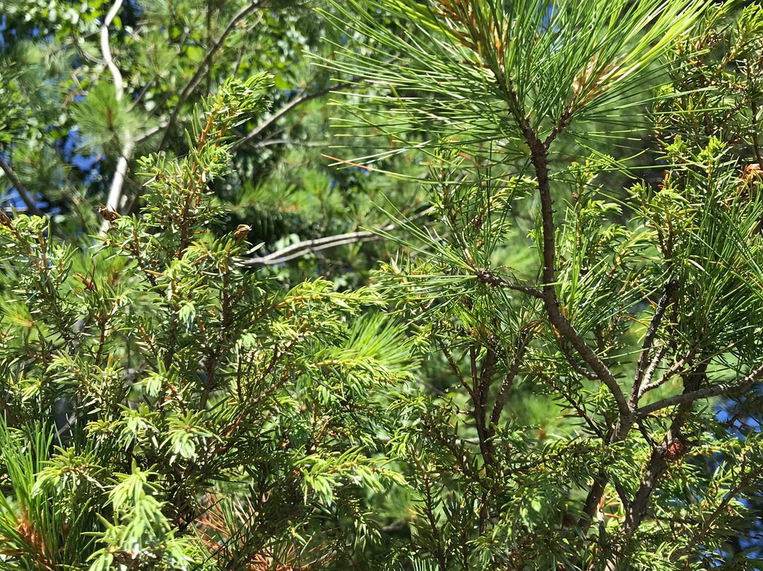 Kettle Falls Hotel主图