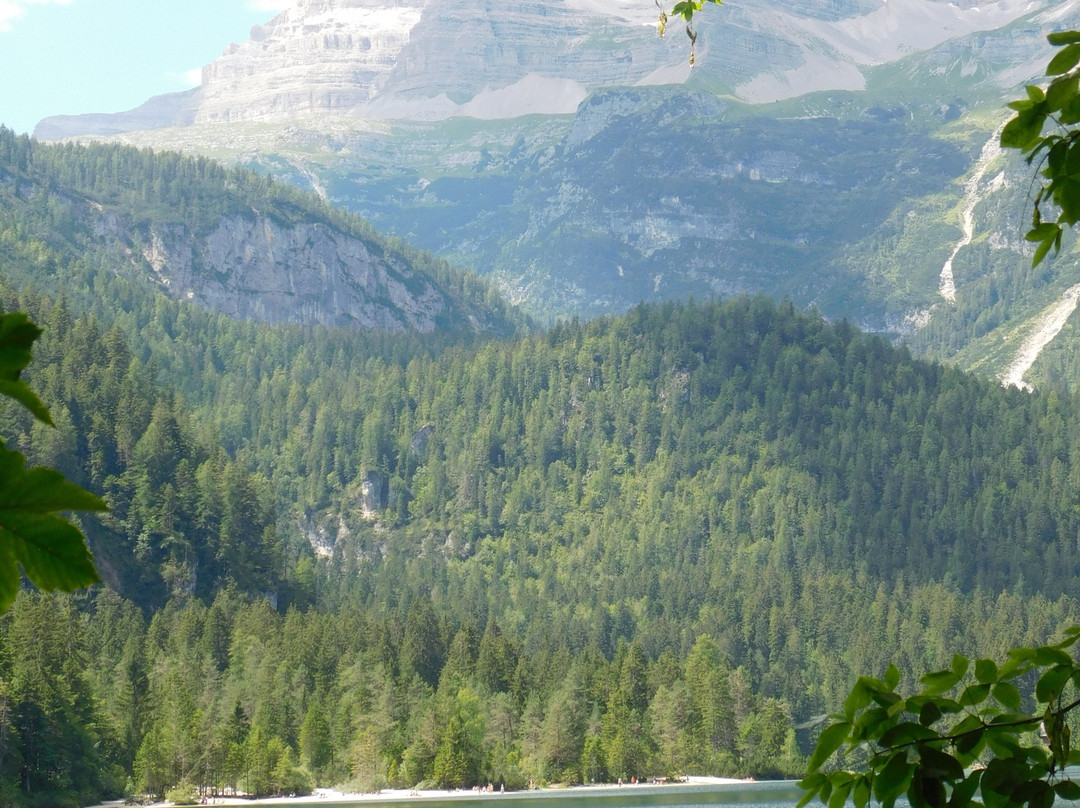 Chalet Tovel - Mountain Lake主图