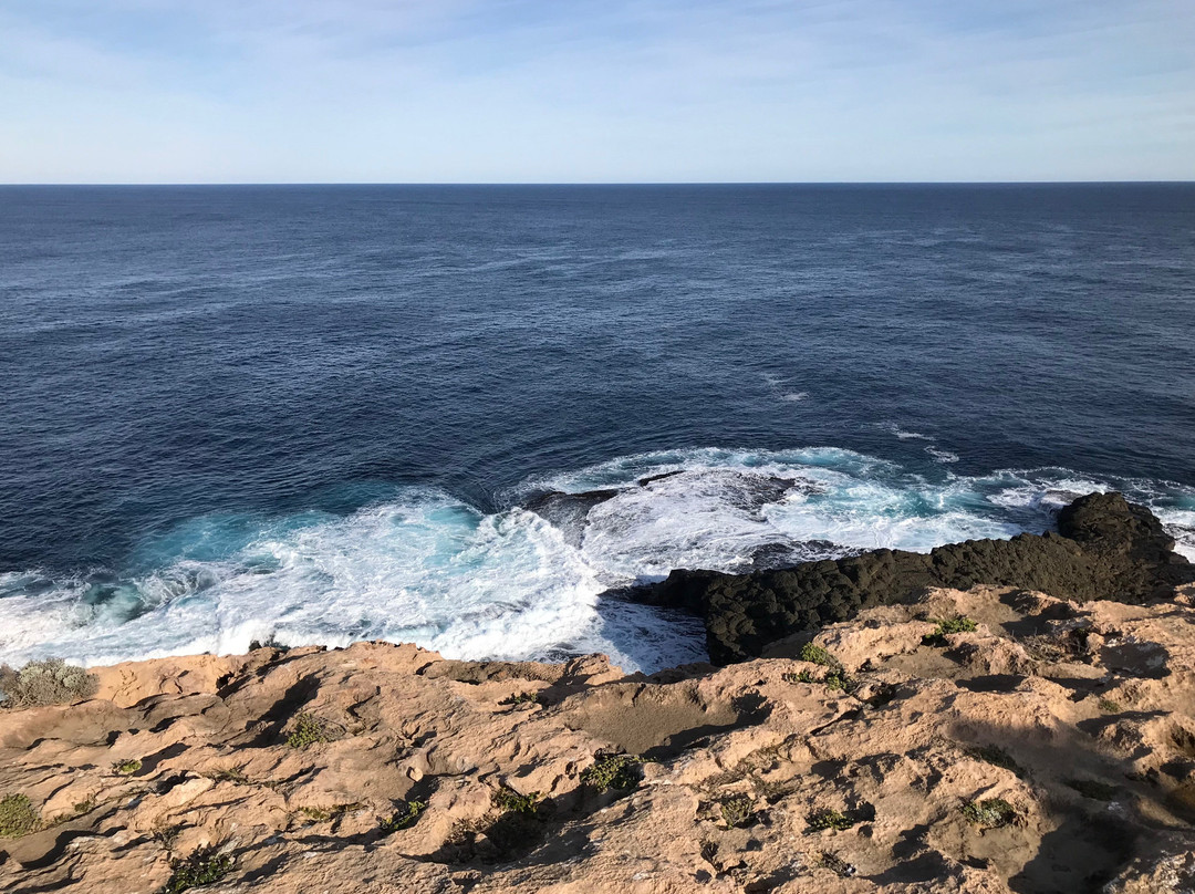 Cape Nelson State Park-波特兰必去景点