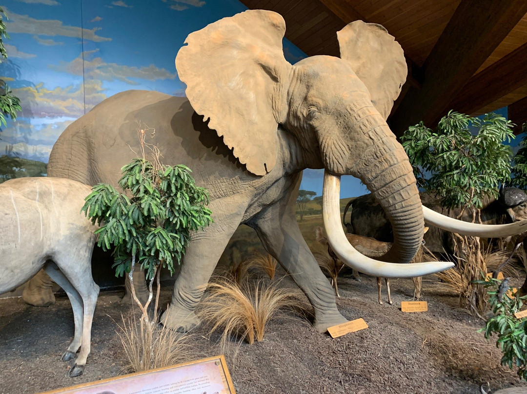 Cabela's-East Hartford必去景点