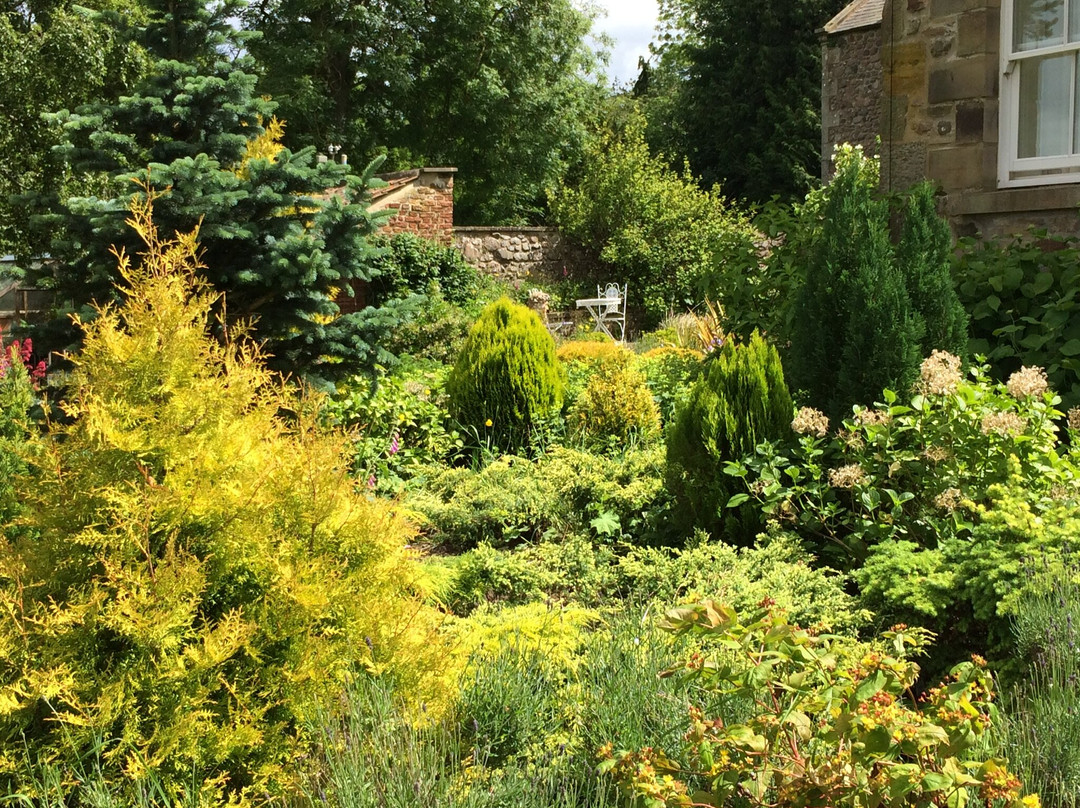 Ingram House Bed and Breakfast主图