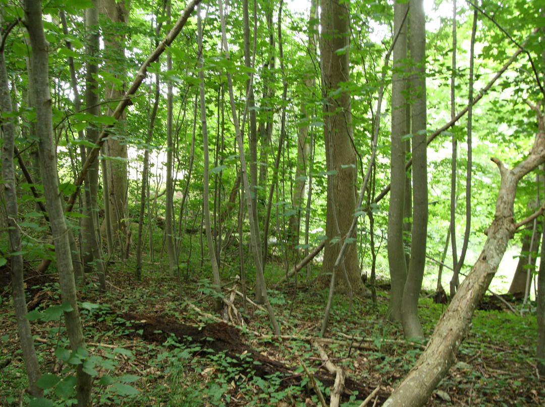 Tønballe Naturcenter景点图片