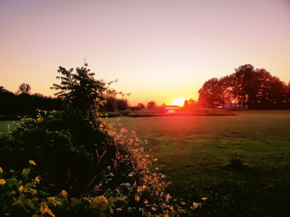 Black Licorice Tree B&B主图