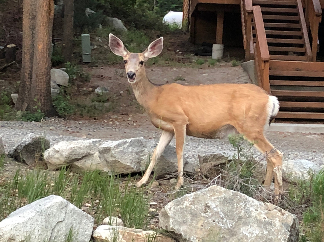 双头鹰水疗度假酒店主图
