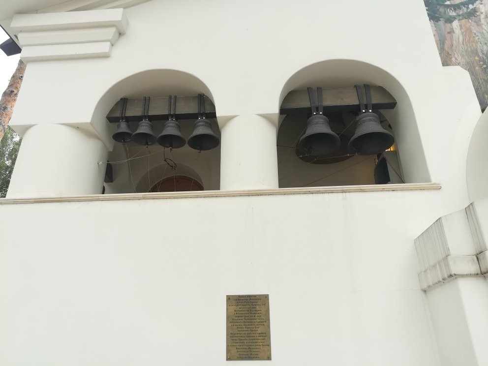 Temple of the Holy Martyr Vladimir景点图片