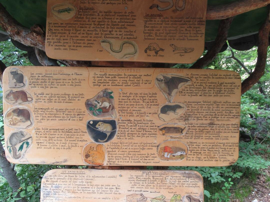 Sentier botanique de Vermes景点图片