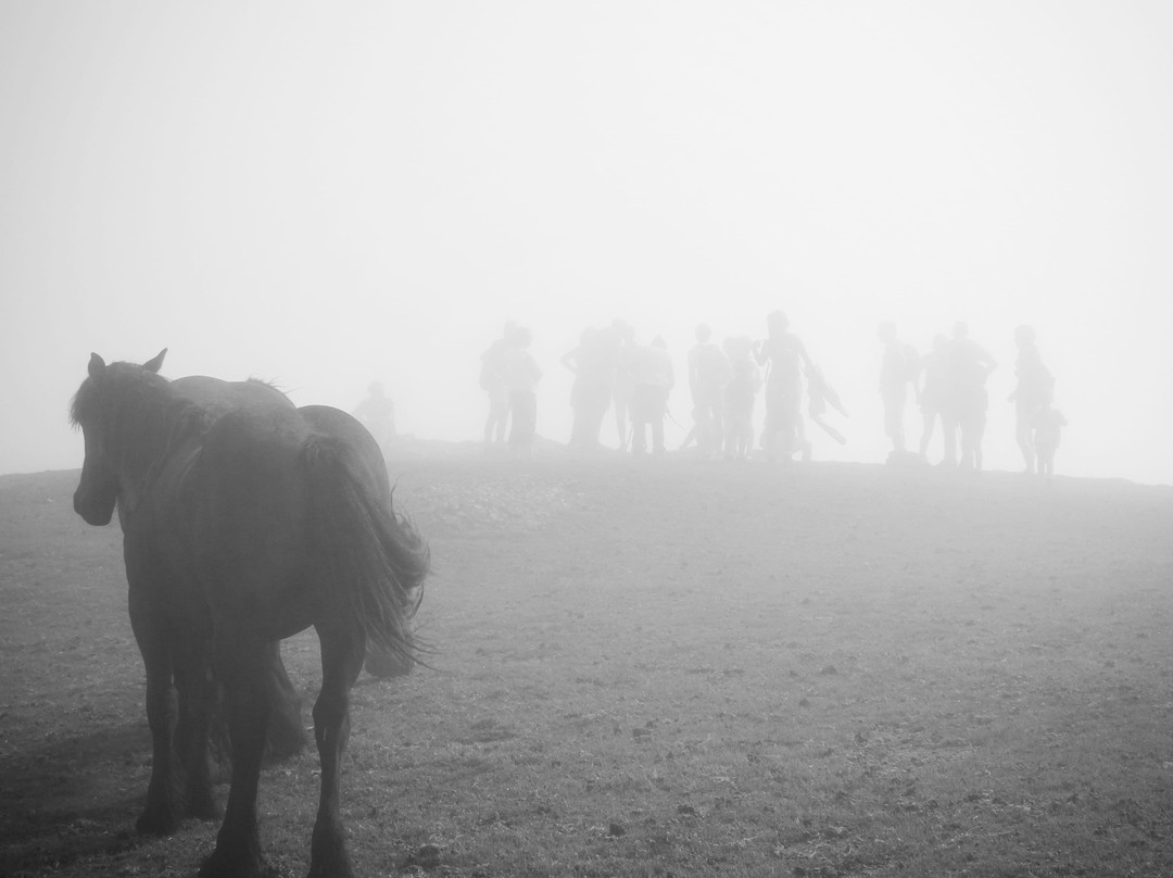 Balade a Iraty avec un Berger  Ferme Peotenia景点图片