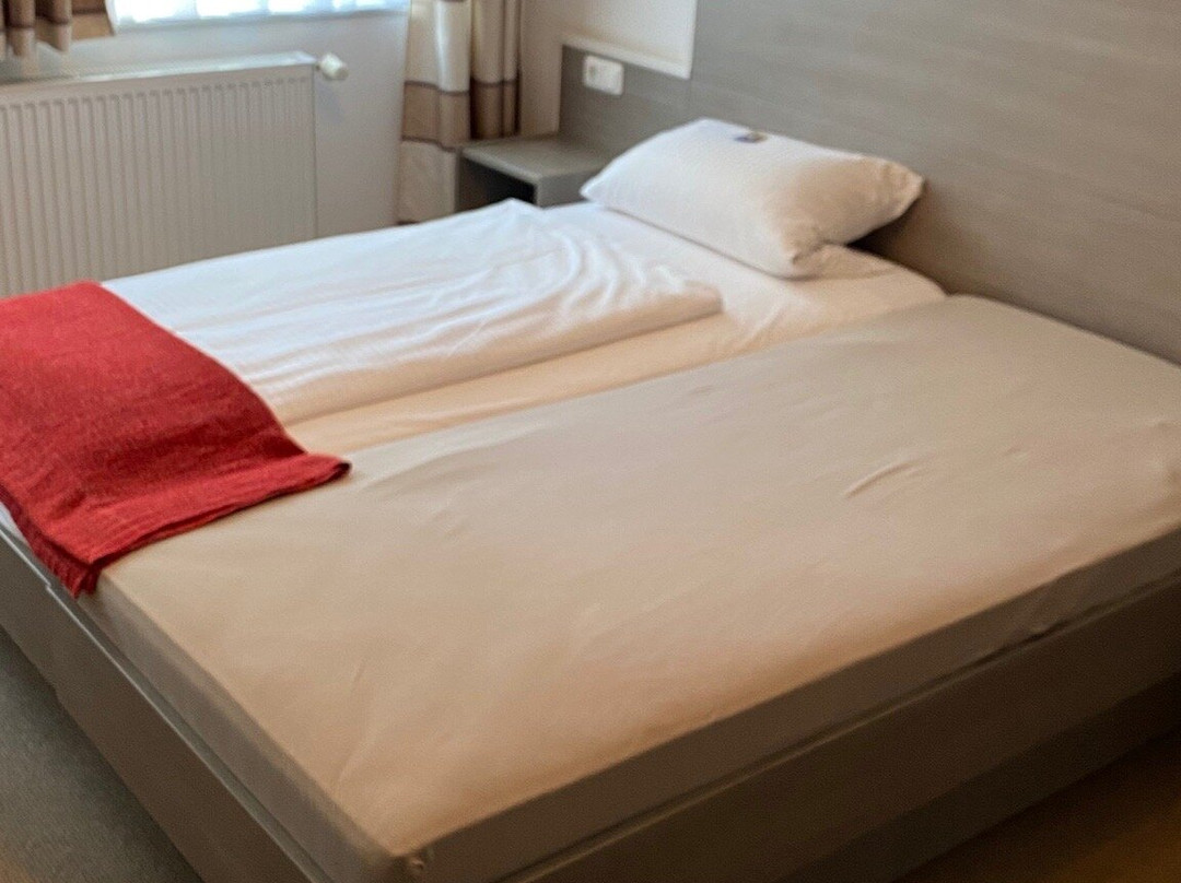 Zum Weissen Ross主图